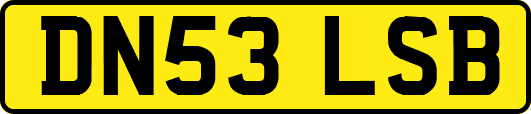 DN53LSB