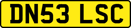 DN53LSC