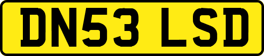 DN53LSD