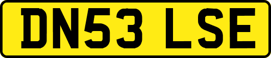 DN53LSE