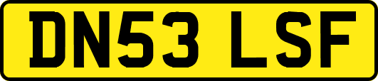DN53LSF