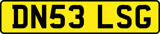 DN53LSG