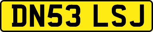 DN53LSJ