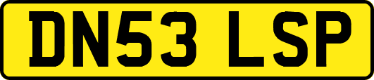 DN53LSP