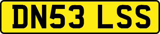 DN53LSS
