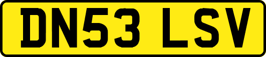 DN53LSV