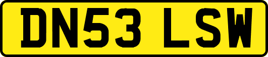 DN53LSW