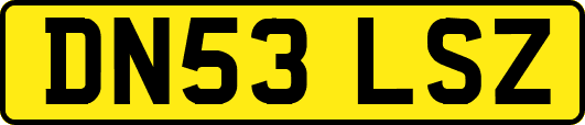 DN53LSZ