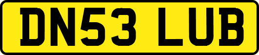 DN53LUB