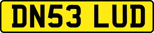 DN53LUD