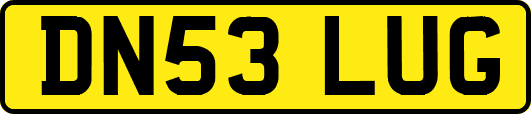 DN53LUG