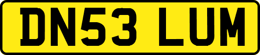 DN53LUM
