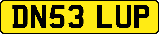 DN53LUP