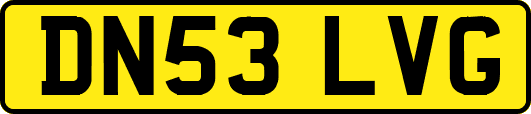 DN53LVG