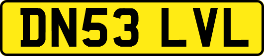 DN53LVL