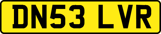 DN53LVR