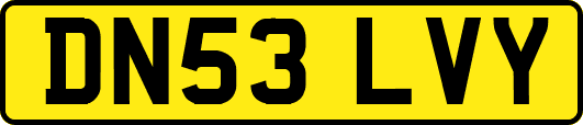 DN53LVY