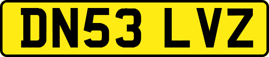 DN53LVZ