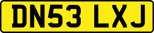 DN53LXJ