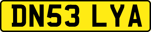 DN53LYA