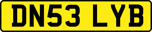 DN53LYB
