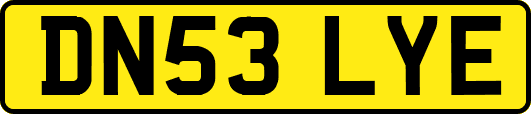 DN53LYE