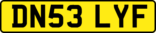 DN53LYF