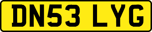 DN53LYG