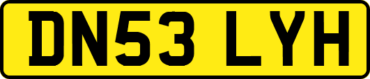 DN53LYH