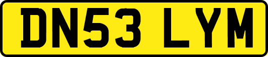 DN53LYM