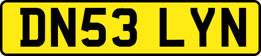 DN53LYN