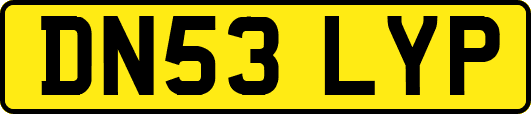 DN53LYP