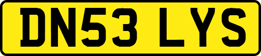 DN53LYS