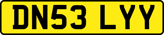 DN53LYY