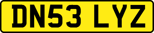 DN53LYZ