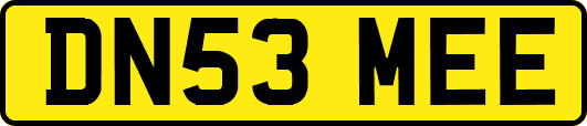 DN53MEE