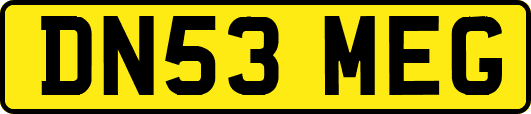 DN53MEG