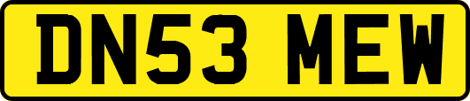 DN53MEW