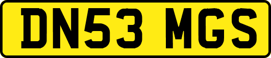DN53MGS