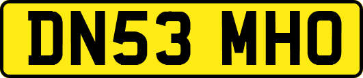 DN53MHO