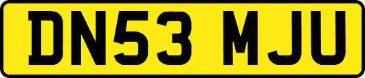 DN53MJU