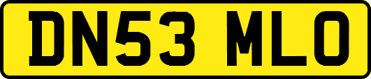 DN53MLO