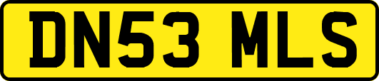 DN53MLS
