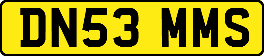 DN53MMS