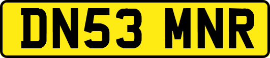 DN53MNR