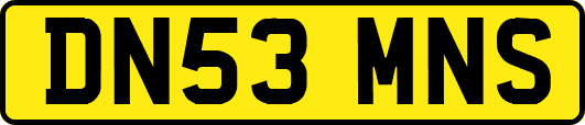 DN53MNS