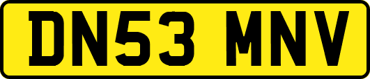 DN53MNV