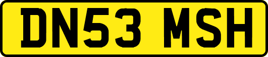 DN53MSH