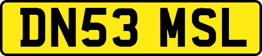 DN53MSL