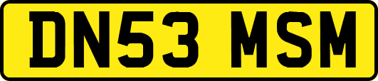 DN53MSM